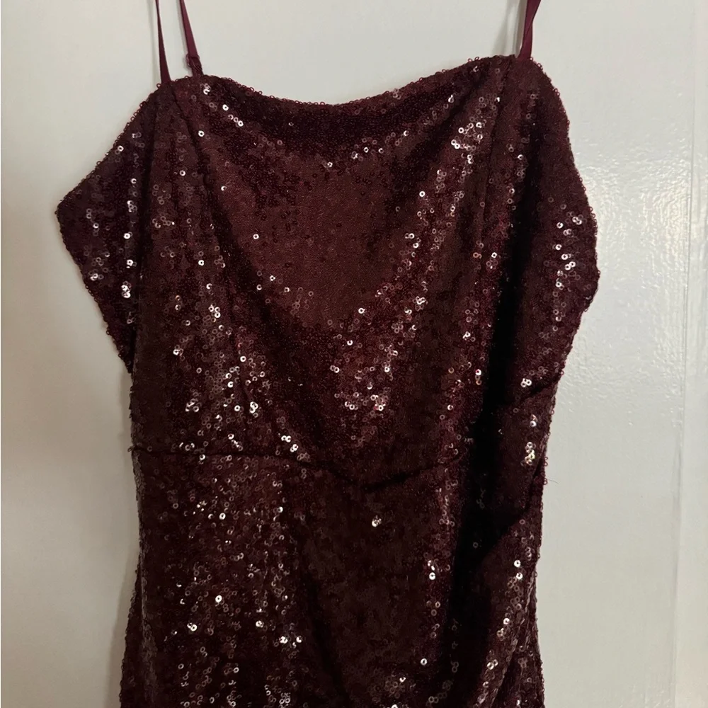 Emerald Sunday Sprakly Cranberry Red Mini Dress - Picture 3 of 7